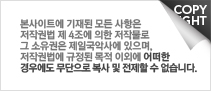 싱글배너